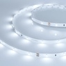 Лента светодиодная RT 2-5000 24V Cool 8K 0.5x (3528, 150 LED, LUX) (Arlight, 2.9 Вт/м, IP20)