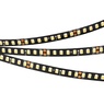 Лента светодиодная RT-5000-2835-160-24V Warm3000 (Black 8mm, 12W, IP20) (Arlight, -)
