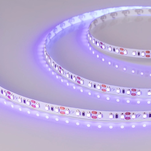 Лента светодиодная RT-A120-8mm 12V UV400 (9.6 W/m, IP20, 2835, 5m) (Arlight, Открытый)
